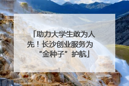 助力大学生敢为人先！长沙创业服务为“金种子”护航