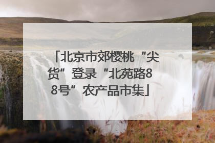 北京市郊樱桃“尖货”登录“北苑路88号”农产品市集