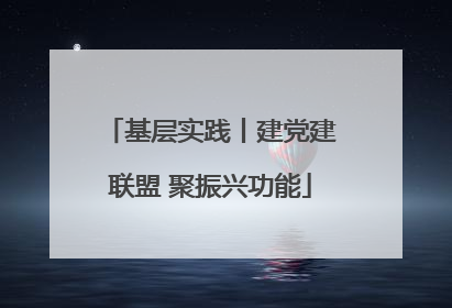 基层实践丨建党建联盟 聚振兴功能
