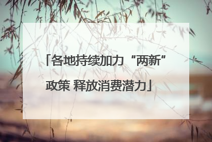 各地持续加力“两新”政策 释放消费潜力