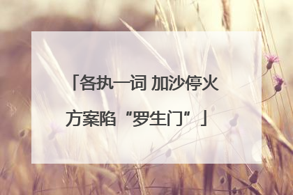 各执一词 加沙停火方案陷“罗生门”