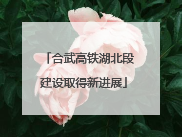 合武高铁湖北段建设取得新进展