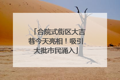 合院式街区大吉巷今天亮相！吸引大批市民涌入