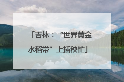 吉林：“世界黄金水稻带”上插秧忙