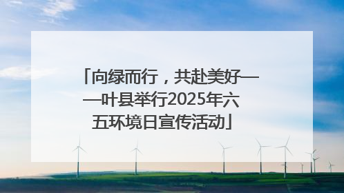 向绿而行，共赴美好——叶县举行2025年六五环境日宣传活动