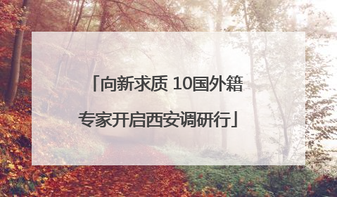 向新求质 10国外籍专家开启西安调研行