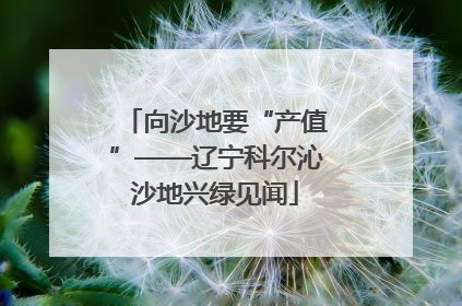 向沙地要“产值”——辽宁科尔沁沙地兴绿见闻