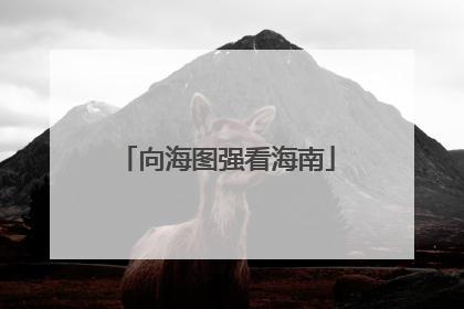 向海图强看海南