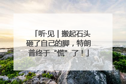听·见｜搬起石头砸了自己的脚，特朗普终于“慌”了！