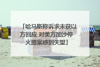 哈马斯称诉求未获以方回应 对美方加沙停火提案感到失望
