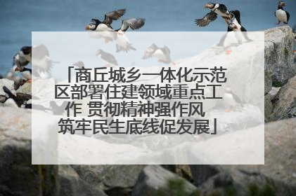 商丘城乡一体化示范区部署住建领域重点工作 贯彻精神强作风 筑牢民生底线促发展