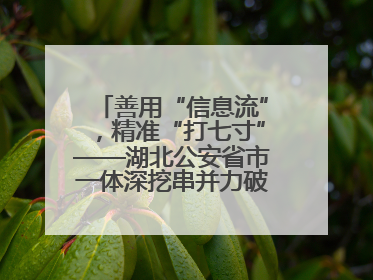 善用“信息流”，精准“打七寸”——湖北公安省市一体深挖串并力破民生案