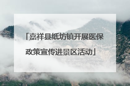 嘉祥县纸坊镇开展医保政策宣传进景区活动