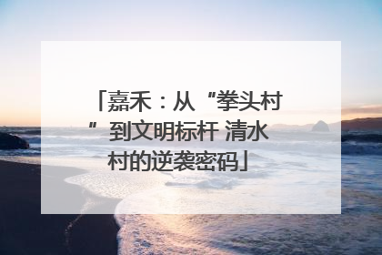 嘉禾：从“拳头村”到文明标杆 清水村的逆袭密码