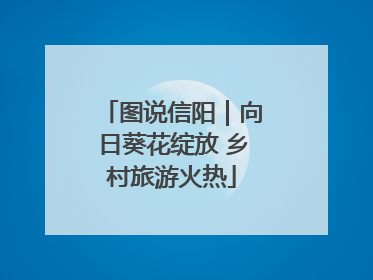 图说信阳｜向日葵花绽放 乡村旅游火热