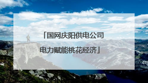 国网庆阳供电公司电力赋能桃花经济