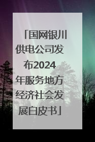 国网银川供电公司发布2024年服务地方经济社会发展白皮书