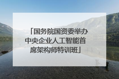 国务院国资委举办中央企业人工智能首席架构师特训班