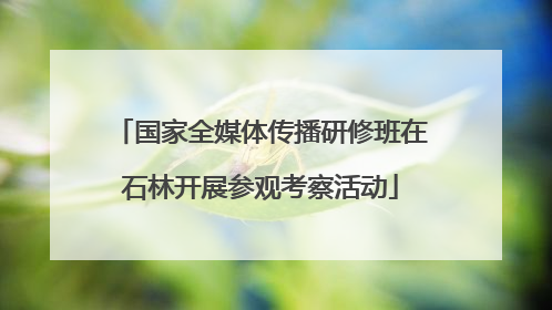 国家全媒体传播研修班在石林开展参观考察活动