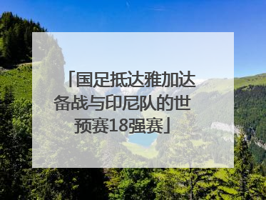 国足抵达雅加达备战与印尼队的世预赛18强赛
