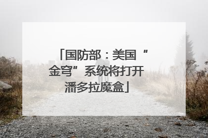 国防部：美国“金穹”系统将打开潘多拉魔盒