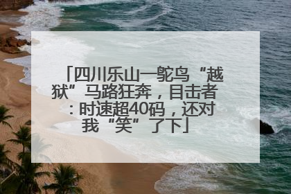 四川乐山一鸵鸟“越狱”马路狂奔，目击者：时速超40码，还对我“笑”了下