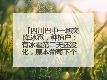 四川巴中一地突降冰雹，种植户：有冰雹第二天还没化，原本葡萄下个月上市，现在全被打落