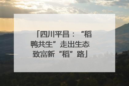 四川平昌：“稻鸭共生”走出生态致富新“稻”路