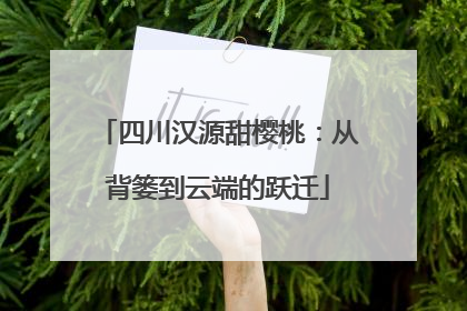 四川汉源甜樱桃：从背篓到云端的跃迁
