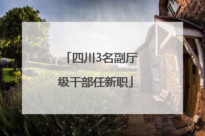 四川3名副厅级干部任新职