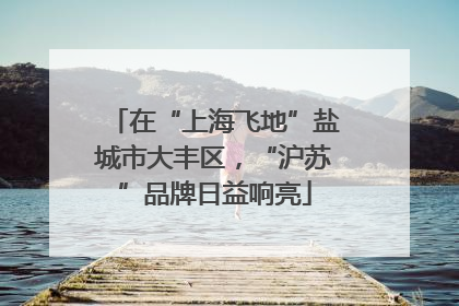 在“上海飞地”盐城市大丰区，“沪苏”品牌日益响亮