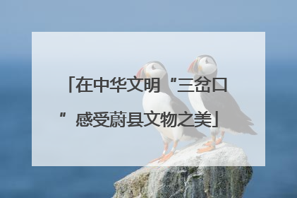 在中华文明“三岔口”感受蔚县文物之美