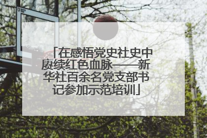 在感悟党史社史中赓续红色血脉——新华社百余名党支部书记参加示范培训