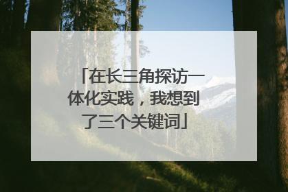 在长三角探访一体化实践，我想到了三个关键词