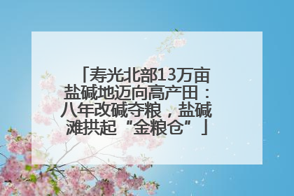 寿光北部13万亩盐碱地迈向高产田：八年改碱夺粮，盐碱滩拱起“金粮仓”