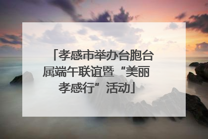 孝感市举办台胞台属端午联谊暨“美丽孝感行”活动