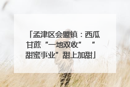 孟津区会盟镇：西瓜甘蔗“一地双收” “甜蜜事业”甜上加甜