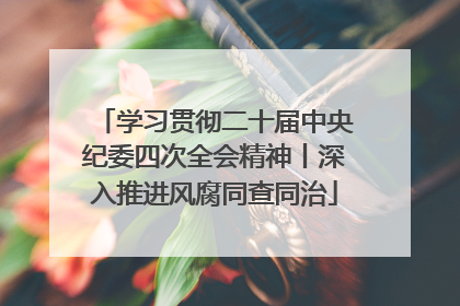 学习贯彻二十届中央纪委四次全会精神丨深入推进风腐同查同治