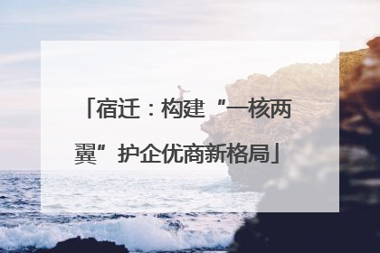宿迁：构建“一核两翼”护企优商新格局