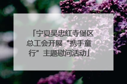 宁夏吴忠红寺堡区总工会开展“携手童行”主题慰问活动