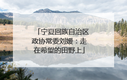 宁夏回族自治区政协常委刘媛：走在希望的田野上