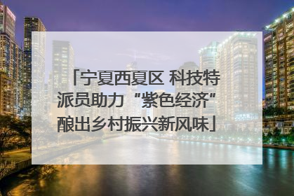 宁夏西夏区 科技特派员助力“紫色经济”酿出乡村振兴新风味