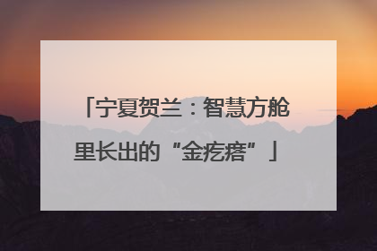 宁夏贺兰：智慧方舱里长出的“金疙瘩”