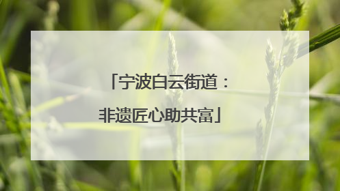 宁波白云街道：非遗匠心助共富