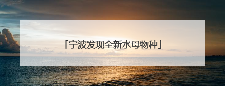 宁波发现全新水母物种