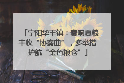宁阳华丰镇：奏响夏粮丰收“协奏曲”，多举措护航“金色粮仓”