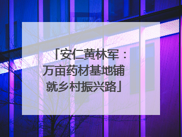 安仁黄林军：万亩药材基地铺就乡村振兴路