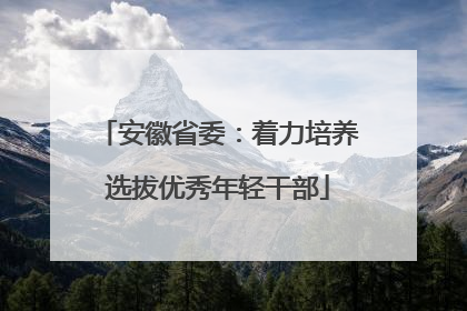 安徽省委：着力培养选拔优秀年轻干部