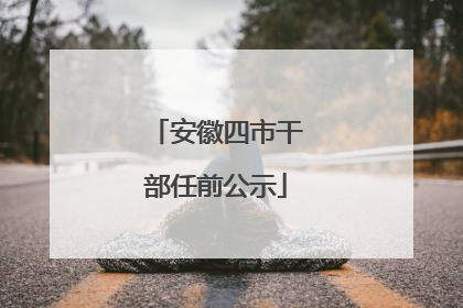 安徽四市干部任前公示