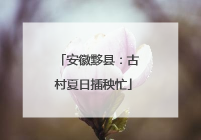 安徽黟县：古村夏日插秧忙